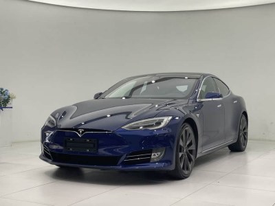 2019年7月 特斯拉 Model S Model S 100D 長續(xù)航版圖片
