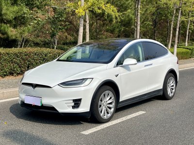 2017年4月 特斯拉 Model X Model X 60D图片