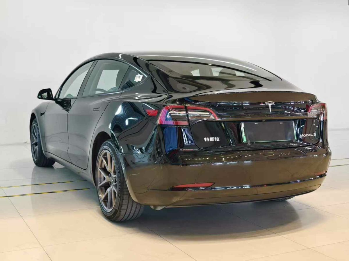 特斯拉 Model S  2023款 三電機(jī)全輪驅(qū)動(dòng) Plaid版圖片