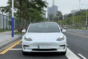 Model 3 特斯拉 标准续航后驱升级版