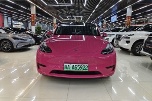 Model Y 特斯拉 改款 長(zhǎng)續(xù)航后輪驅(qū)動(dòng)版