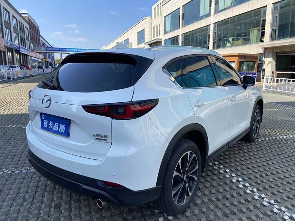 2023年1月馬自達(dá) CX-5  2022款 2.5L 自動(dòng)兩驅(qū)智尊型