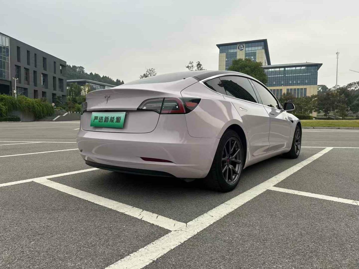 特斯拉 Model X  2020款 Performance 高性能版圖片