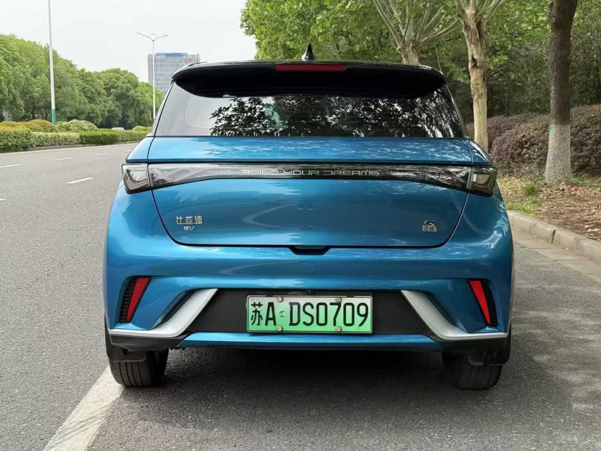 比亞迪 海豚 圖片