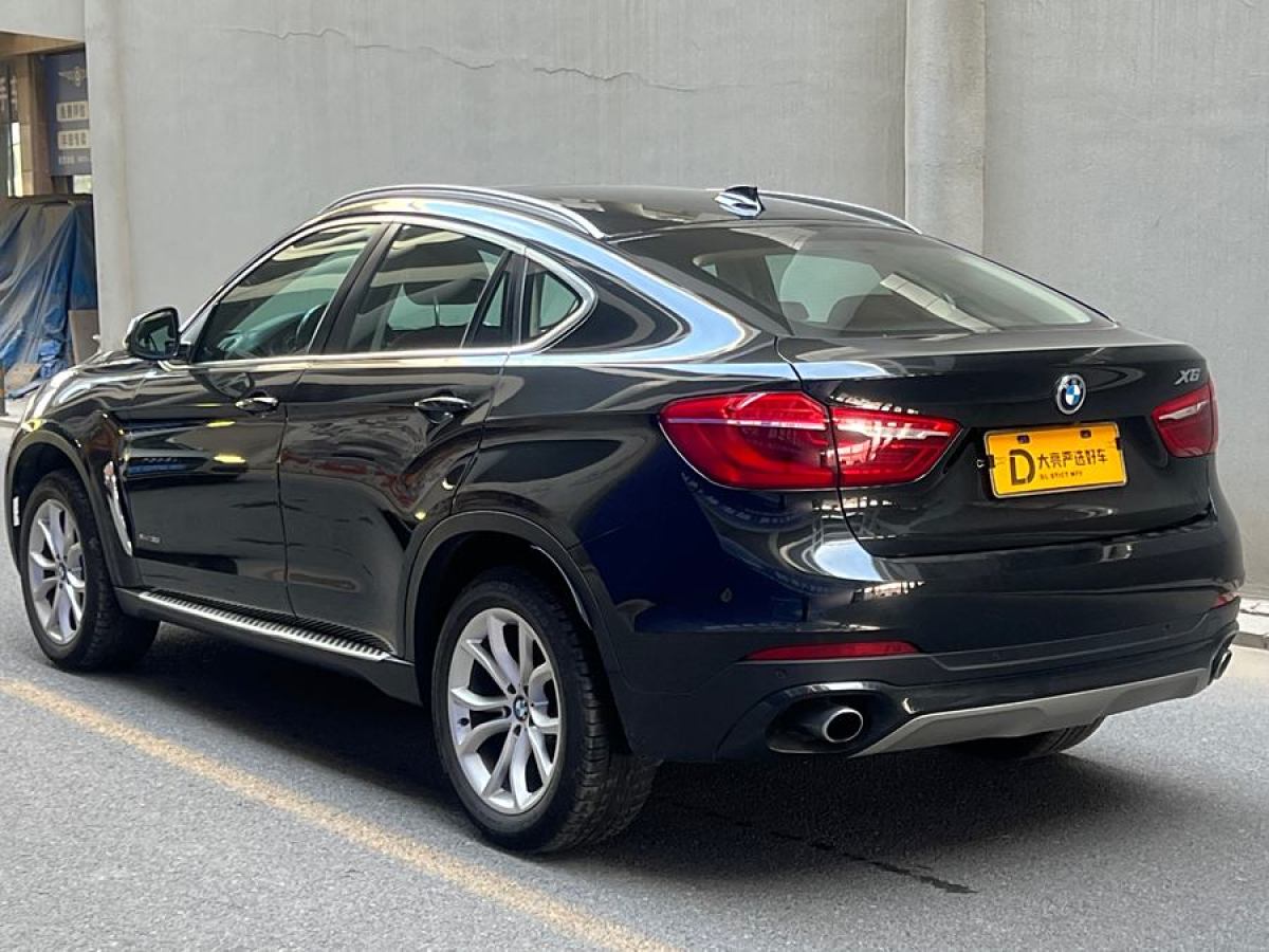 寶馬 寶馬X6  2015款 xDrive35i 領(lǐng)先型圖片