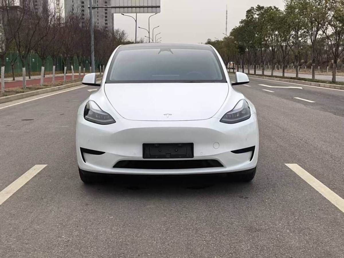 特斯拉 Model 3  2020款 改款 長續(xù)航后輪驅(qū)動(dòng)版圖片