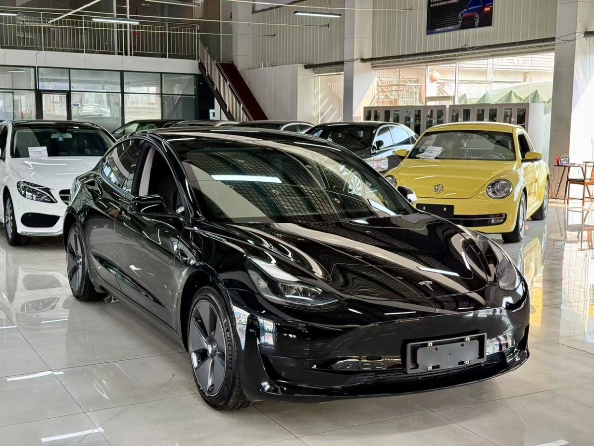 特斯拉 Model 3  2022款 后輪驅(qū)動(dòng)版圖片