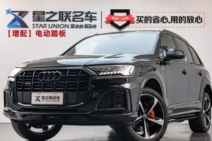 奧迪Q7 奧迪 55 TFSI quattro S line冰雪運(yùn)動(dòng)版