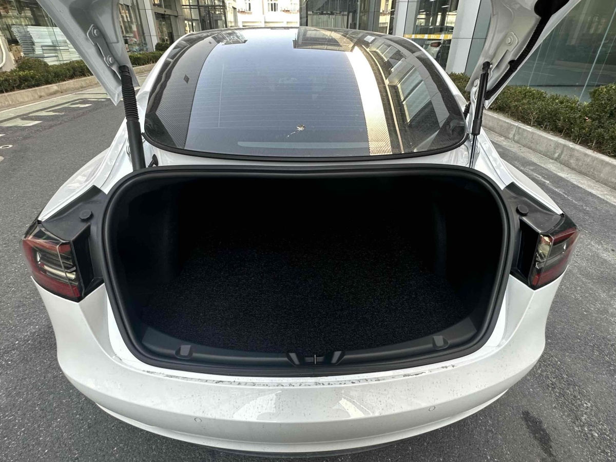 特斯拉 Model 3  2019款 Performance高性能全輪驅(qū)動版圖片