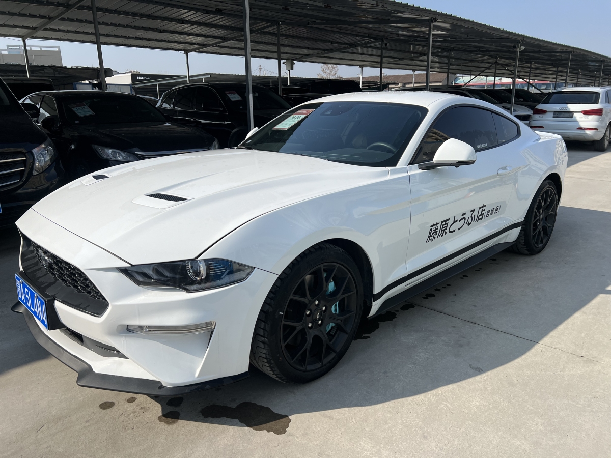 福特 Mustang  2021款 2.3L EcoBoost 黑曜魅影特別版圖片