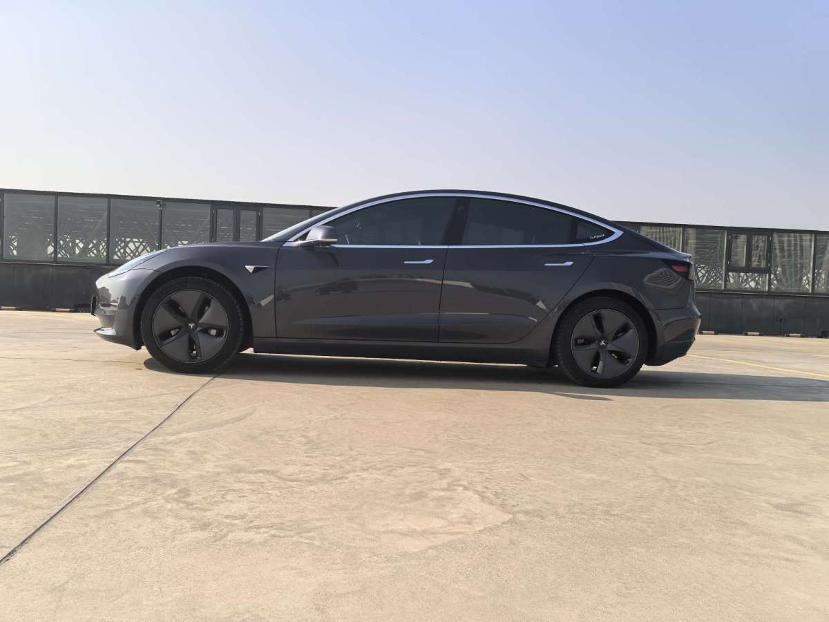 特斯拉 Model 3  2019款 長續(xù)航后驅(qū)版圖片