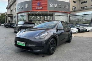 Model Y 特斯拉 改款 长续航后轮驱动版