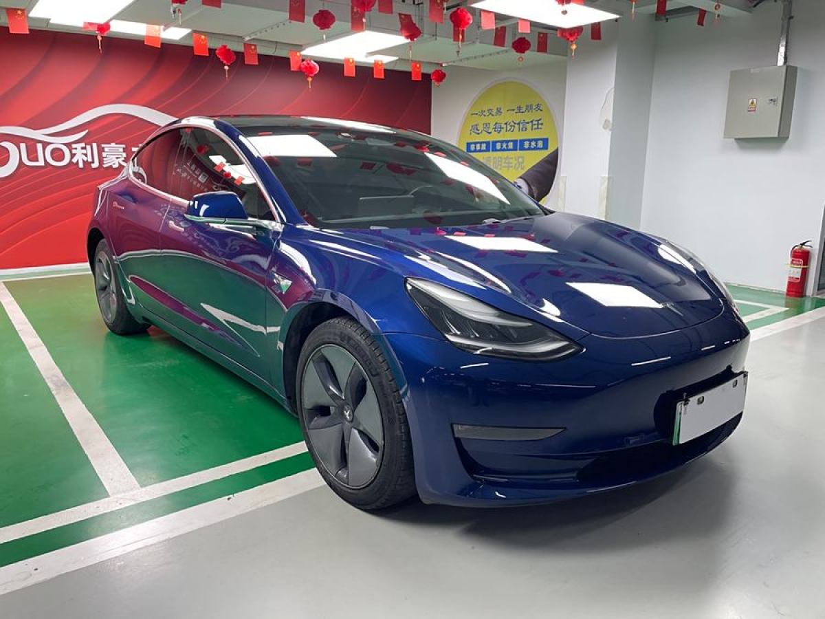 2019年3月特斯拉 Model 3  2019款 長續(xù)航后驅(qū)版