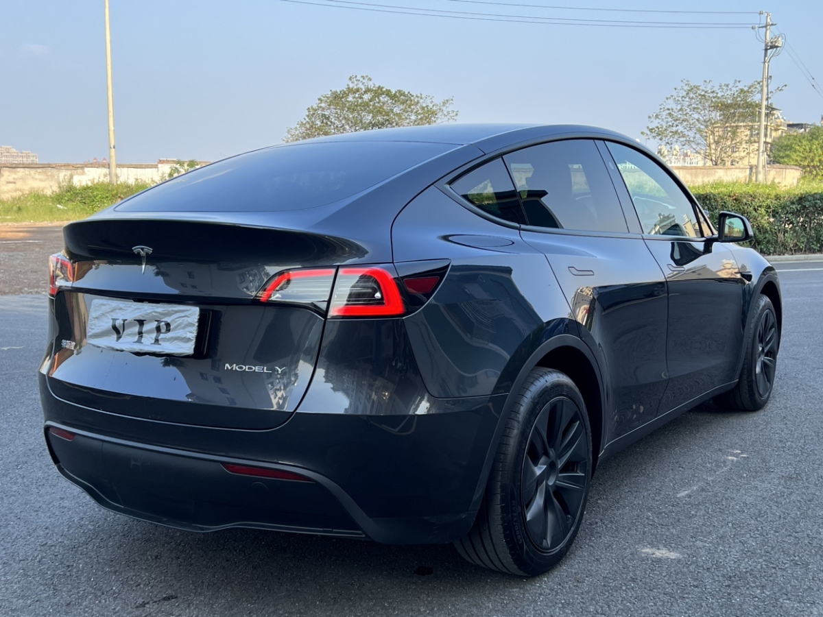 特斯拉 Model Y  2022款 后輪驅(qū)動版圖片