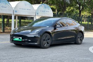 Model 3 特斯拉 改款 長續(xù)航后輪驅(qū)動版
