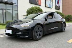 Model 3 特斯拉 標(biāo)準(zhǔn)續(xù)航后驅(qū)升級(jí)版 3D6