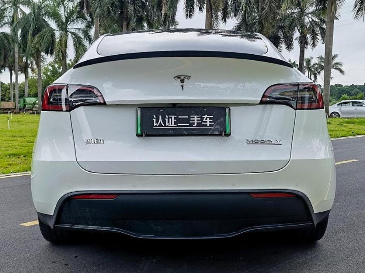 特斯拉 Model 3  2020款 改款 長續(xù)航后輪驅(qū)動版圖片