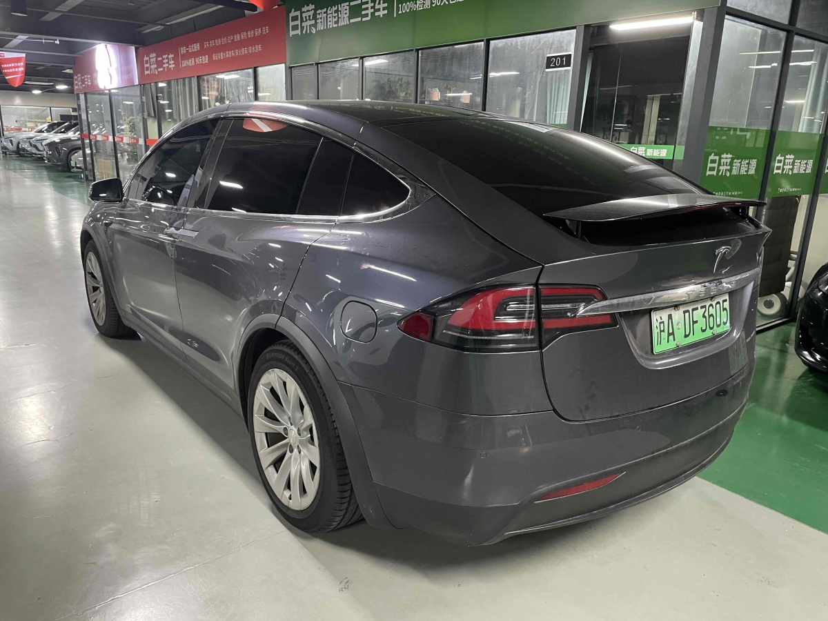 特斯拉 Model X  2019款 長(zhǎng)續(xù)航版圖片