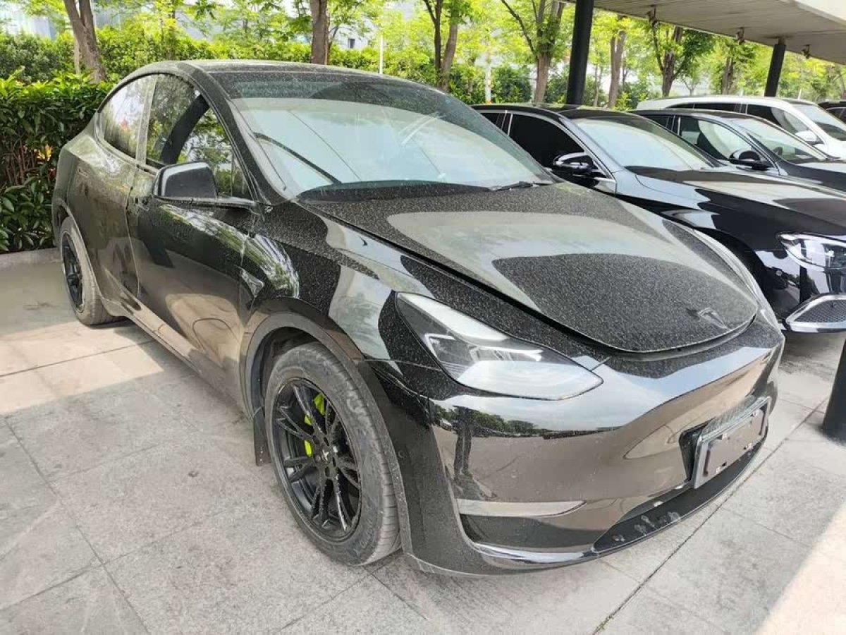 特斯拉 Model Y  2021款 標(biāo)準(zhǔn)續(xù)航后驅(qū)版圖片