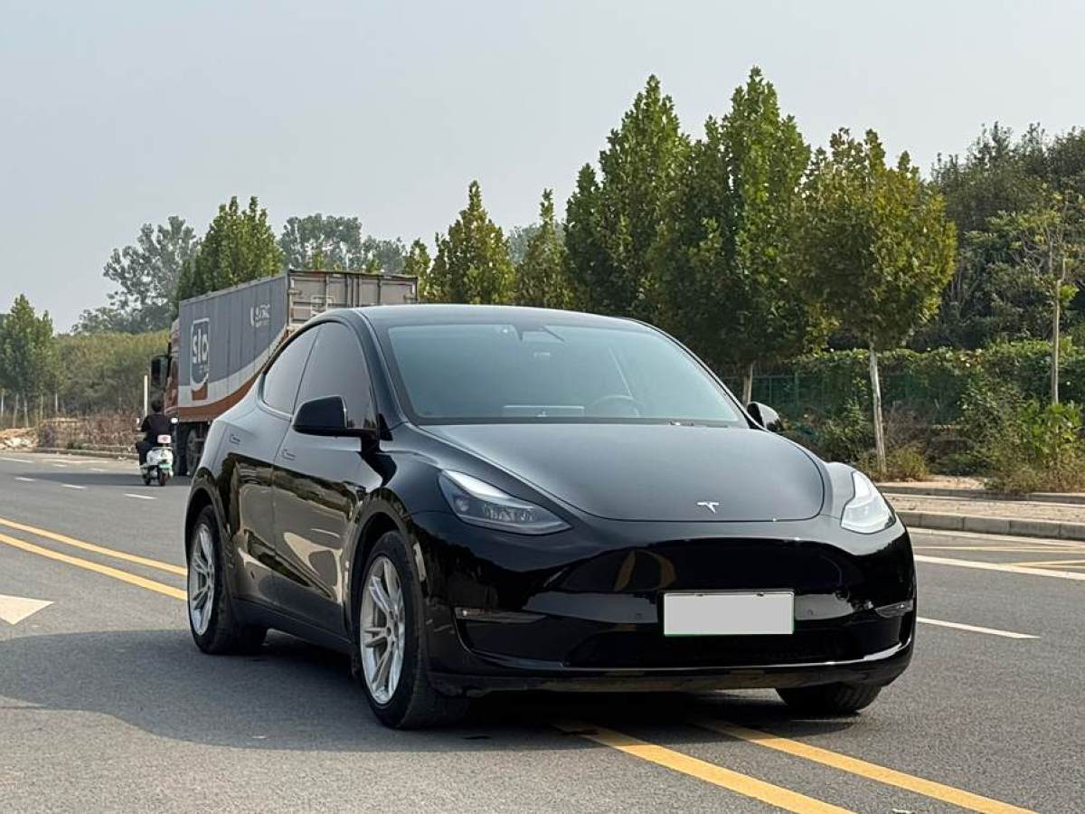 特斯拉 Model 3  2022款 后輪驅(qū)動(dòng)版圖片