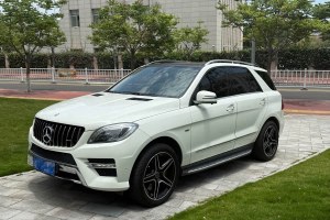 奔馳M級(jí) 奔馳 ML 350 動(dòng)感型