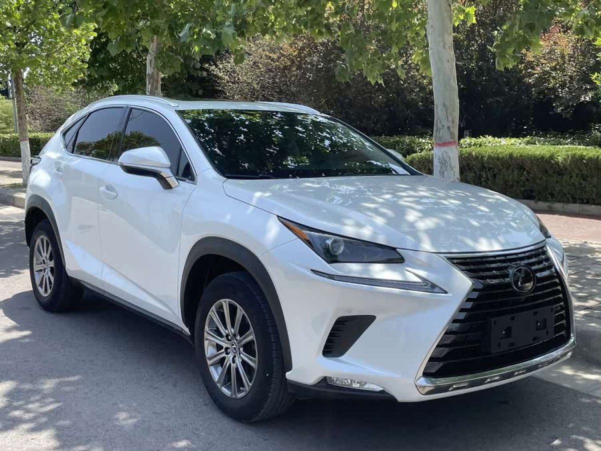 雷克薩斯 NX  2020款 200 全驅(qū) 鋒尚版 國(guó)V圖片