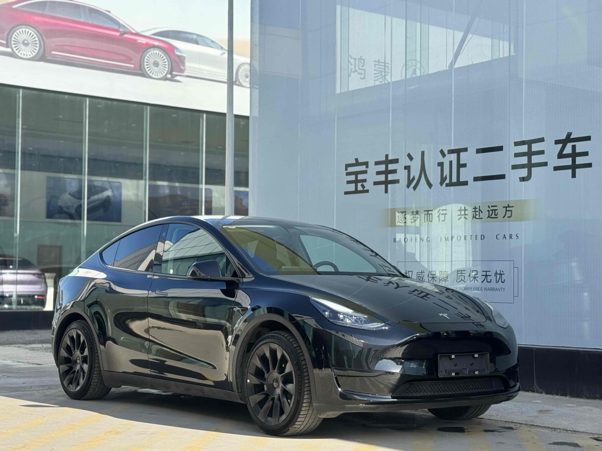 特斯拉 Model 3  2020款 改款 長續(xù)航后輪驅動版圖片