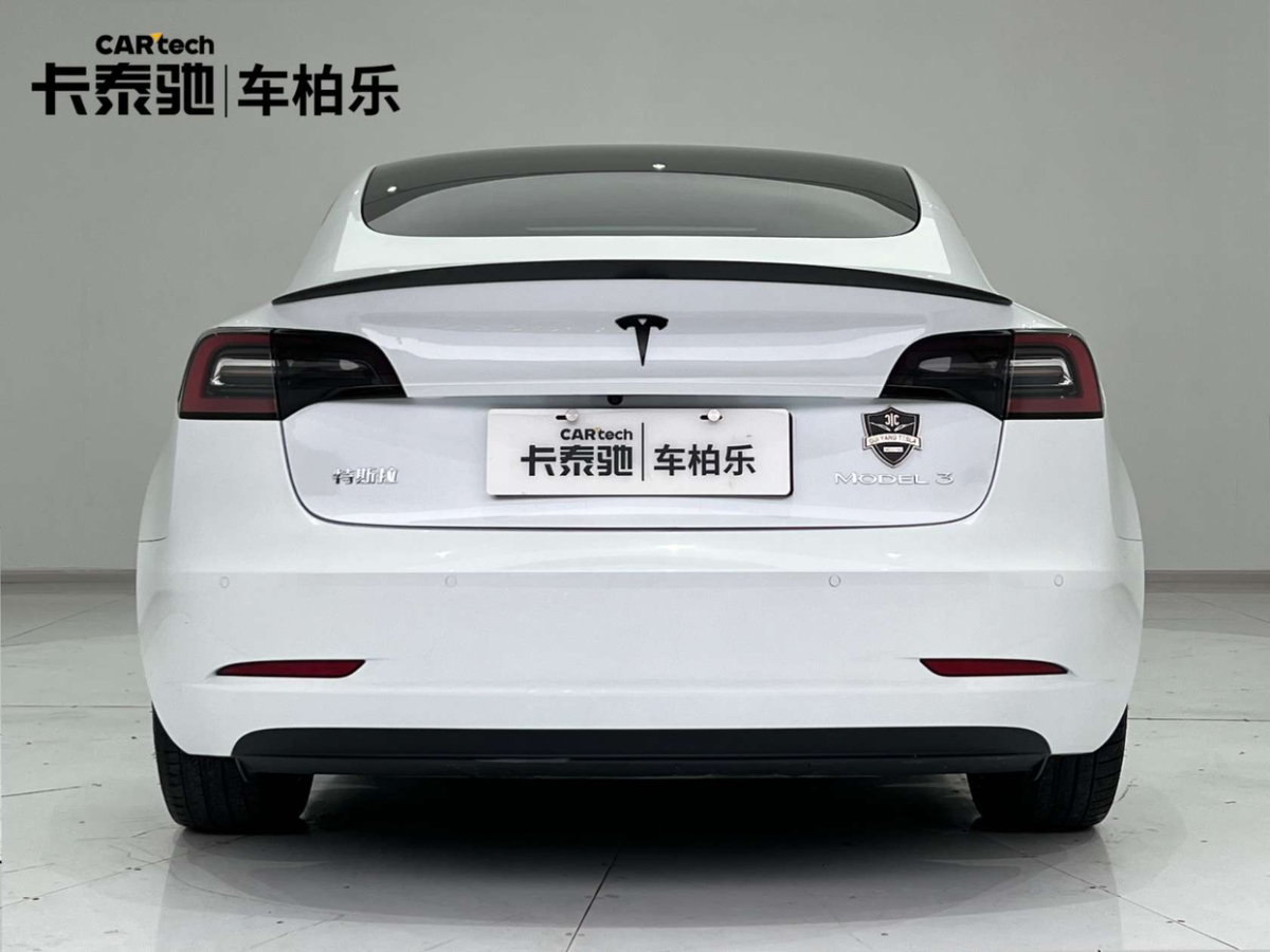 特斯拉 Model 3  2019款 標(biāo)準(zhǔn)續(xù)航后驅(qū)升級(jí)版圖片