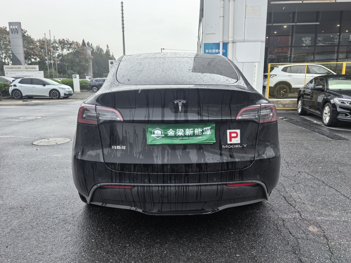 特斯拉 Model Y  2020款 改款 長續(xù)航后輪驅(qū)動(dòng)版圖片