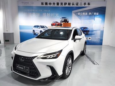 2022年2月 雷克萨斯 NX 350h 前驱 创享版图片