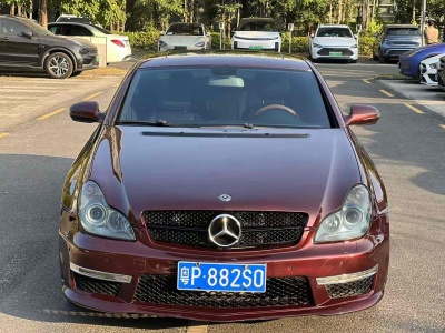 2010年5月 奔馳 奔馳CLS級(進(jìn)口) CLS 300圖片