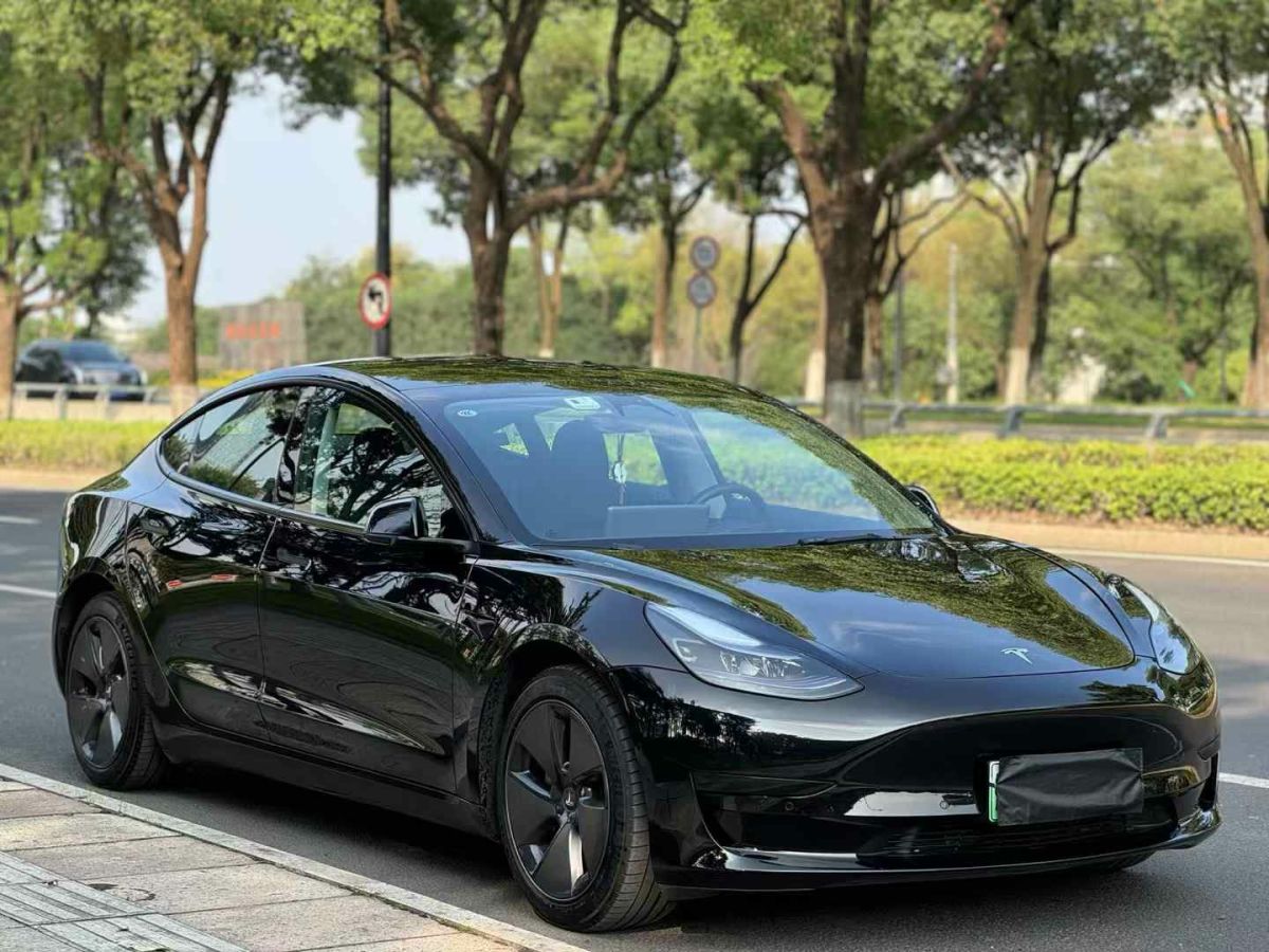 特斯拉 Model S  2023款 三電機(jī)全輪驅(qū)動 Plaid版圖片