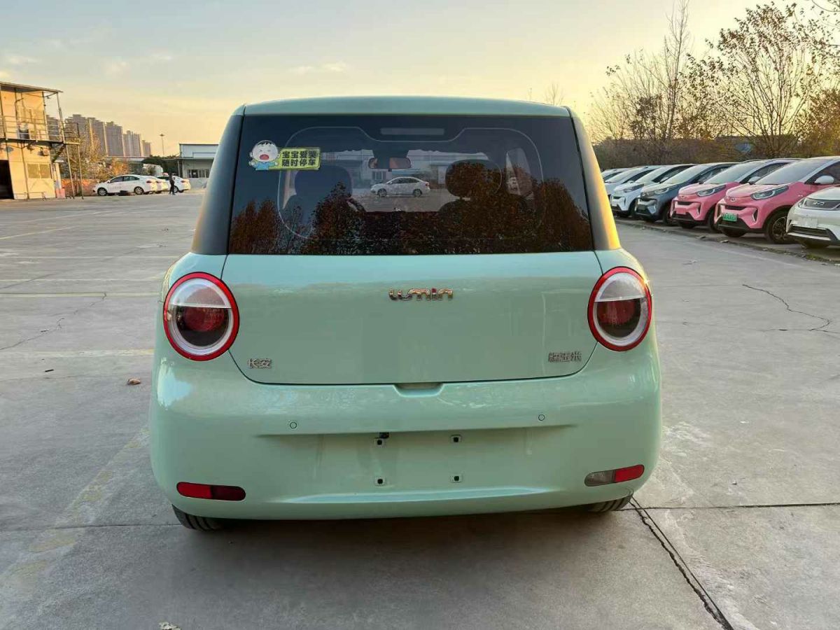 長(zhǎng)安跨越 新豹T3 EV  2024款 單排豪華版 倉柵車圖片