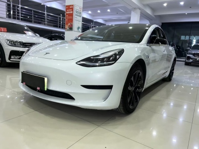 2021年1月 特斯拉 Model 3 标准续航后驱升级版图片