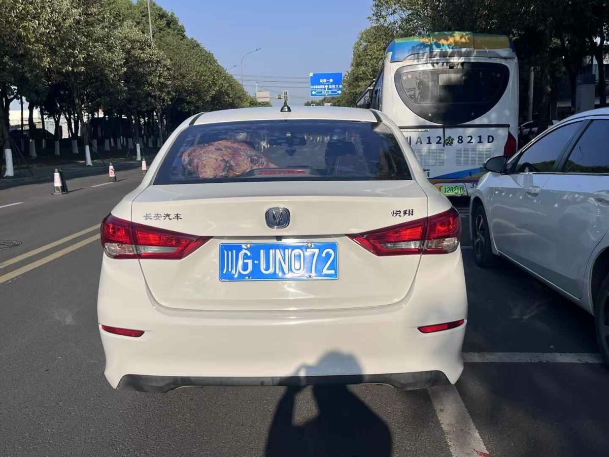 長(zhǎng)安 悅翔  2019款  1.5L DCT尊貴型 國(guó)VI圖片