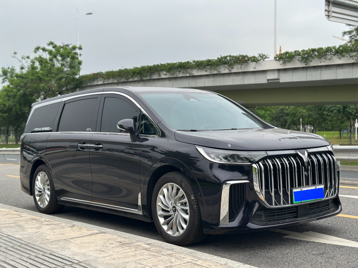 嵐圖 夢(mèng)想家  2024款 PHEV 超長(zhǎng)續(xù)航旗艦版圖片