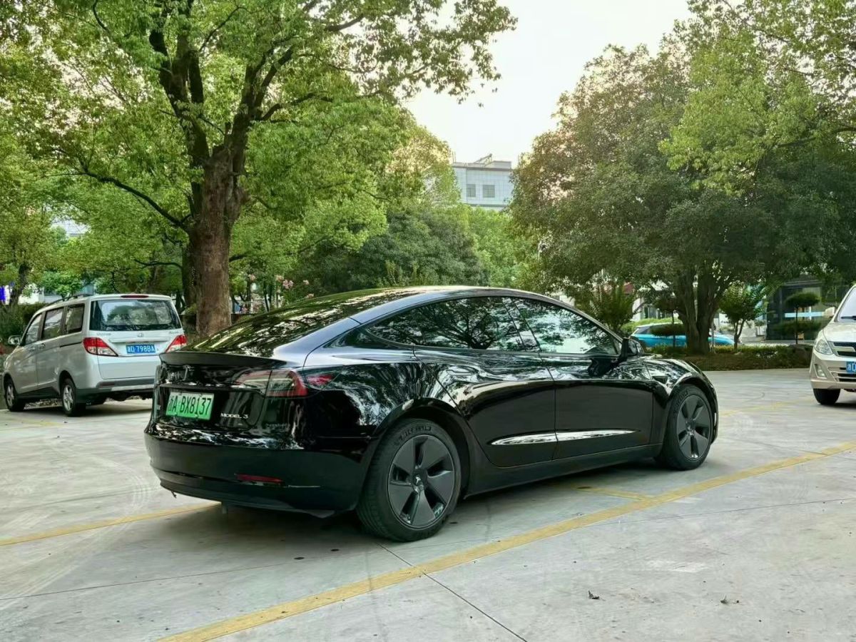 2023年1月特斯拉 Model S  2023款 三電機(jī)全輪驅(qū)動 Plaid版