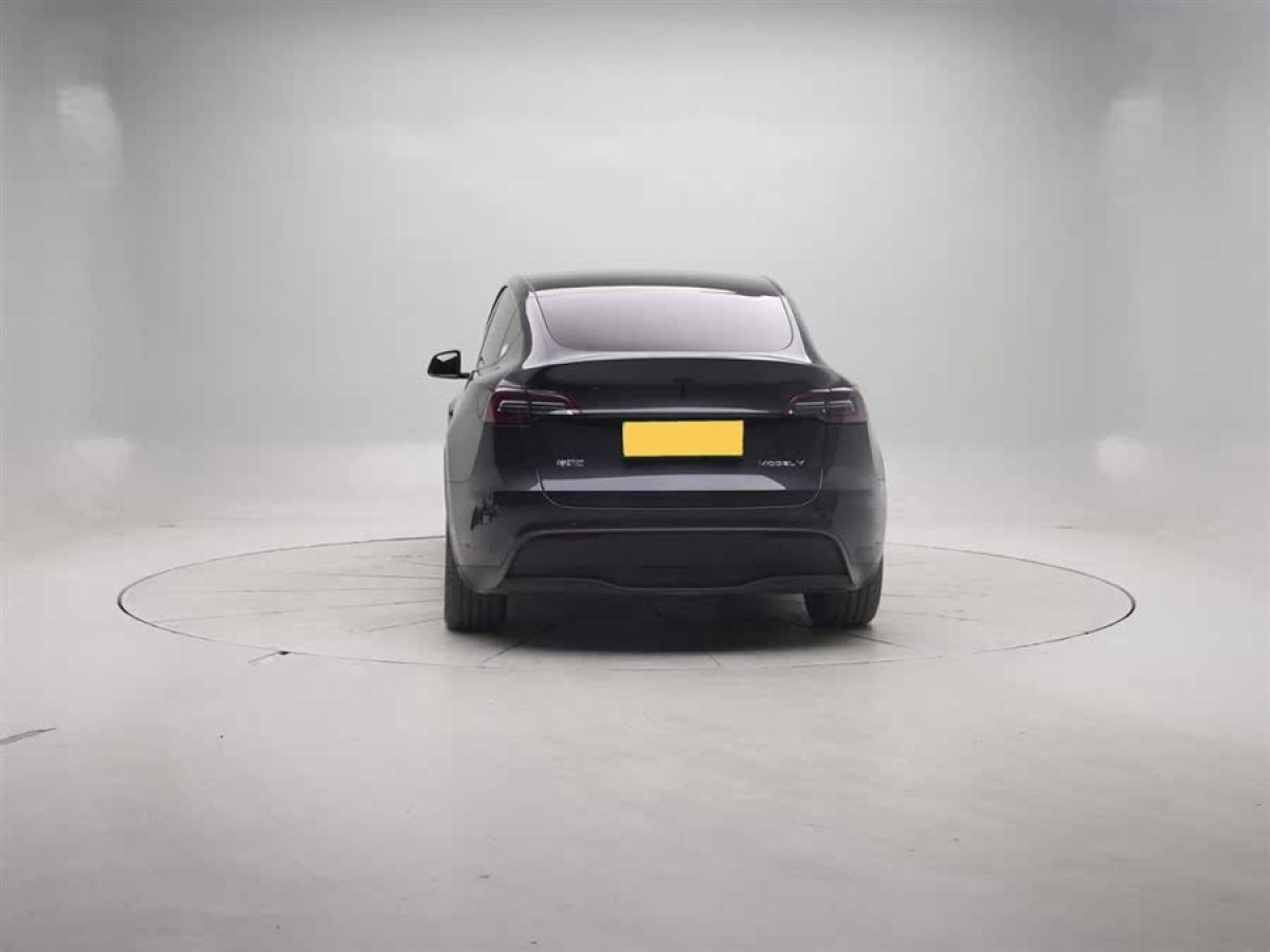 特斯拉 Model Y  2024款 后輪驅(qū)動版圖片