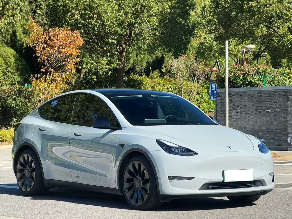 特斯拉 Model 3  2021款 Performance高性能全輪驅(qū)動版圖片