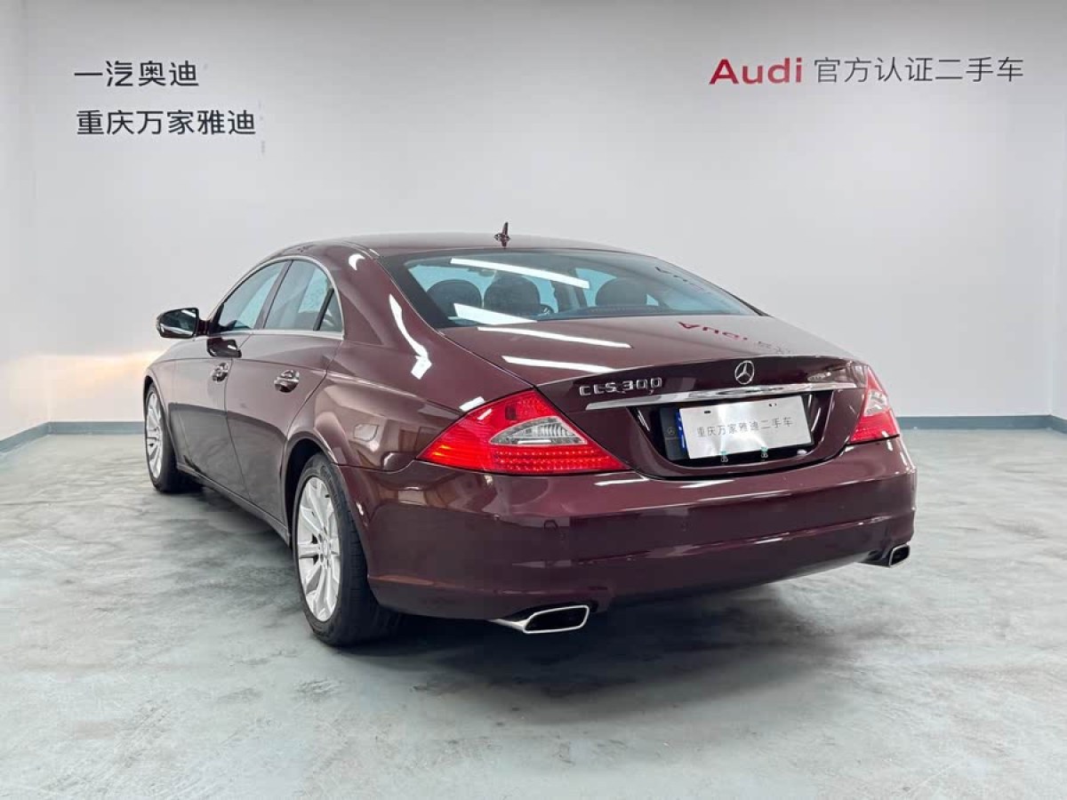 奔馳 奔馳CLS級(jí)  2009款 CLS 300圖片