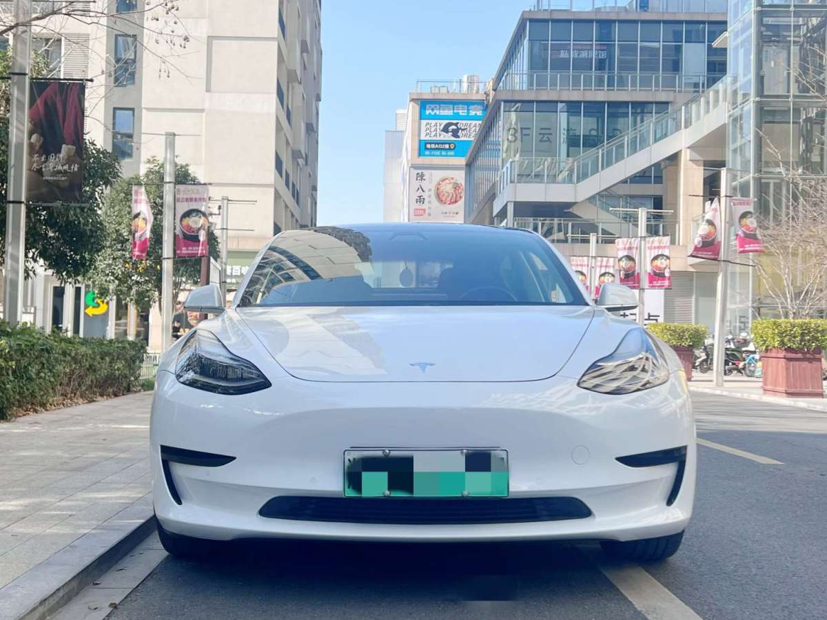 特斯拉 Model 3  2019款 標準續(xù)航后驅(qū)升級版圖片