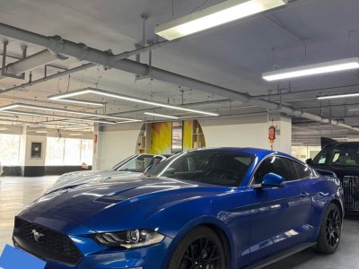 2019年1月 福特 Mustang(進(jìn)口) 2.3L EcoBoost圖片