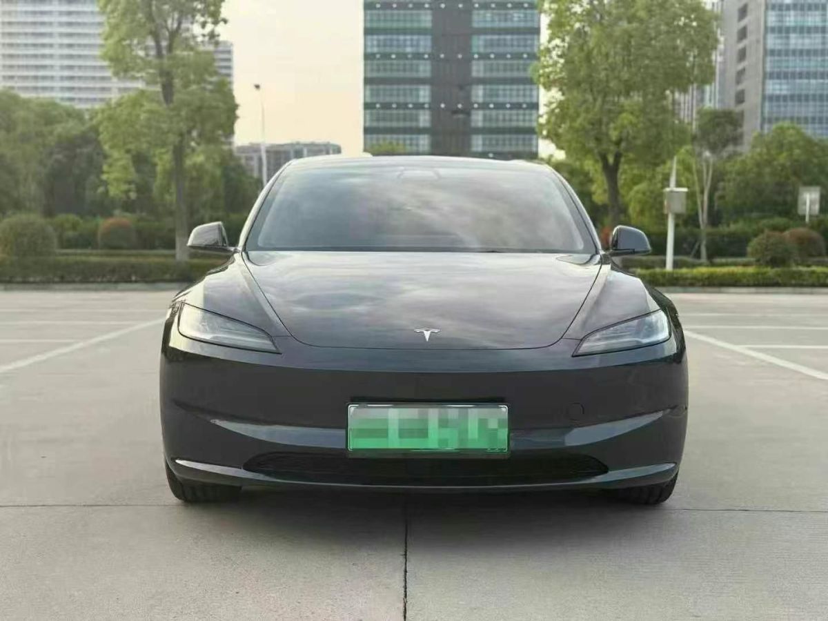 特斯拉 Model Y  2024款 Performance高性能版圖片