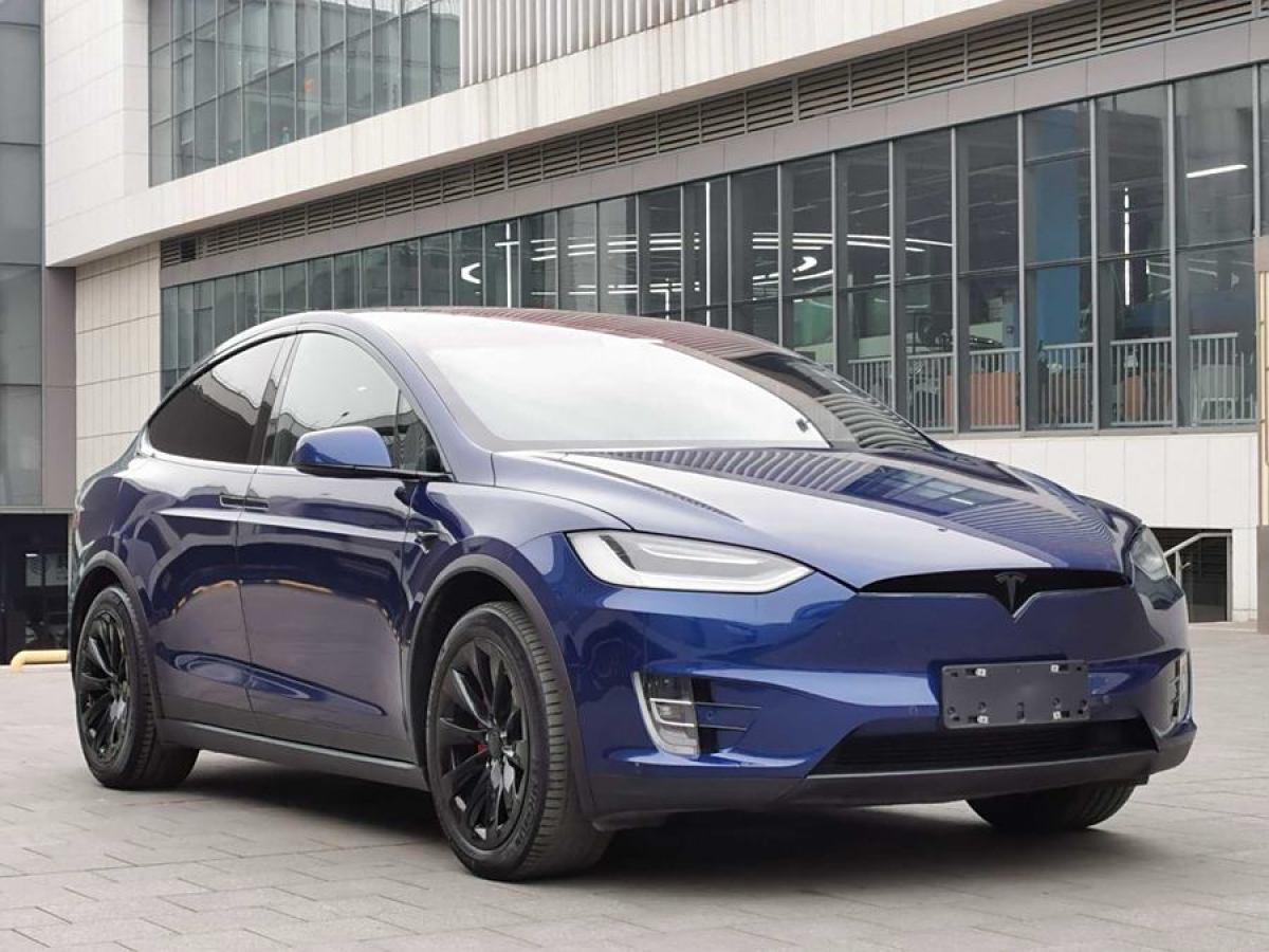 特斯拉 Model X  2020款 長(zhǎng)續(xù)航升級(jí)版圖片