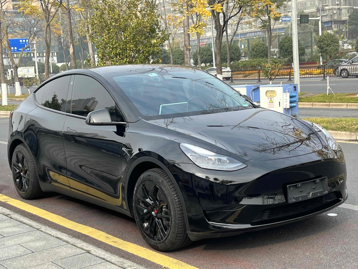 特斯拉 Model 3  2020款 改款 長續(xù)航后輪驅(qū)動版圖片