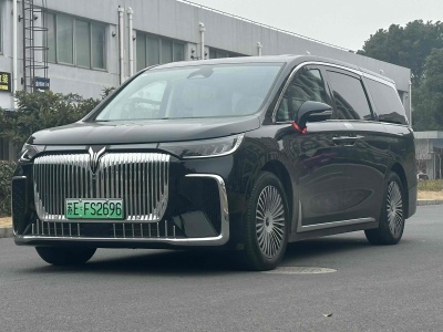 2025年1月 嵐圖 夢想家 PHEV 四驅(qū)尊貴鯤鵬版圖片