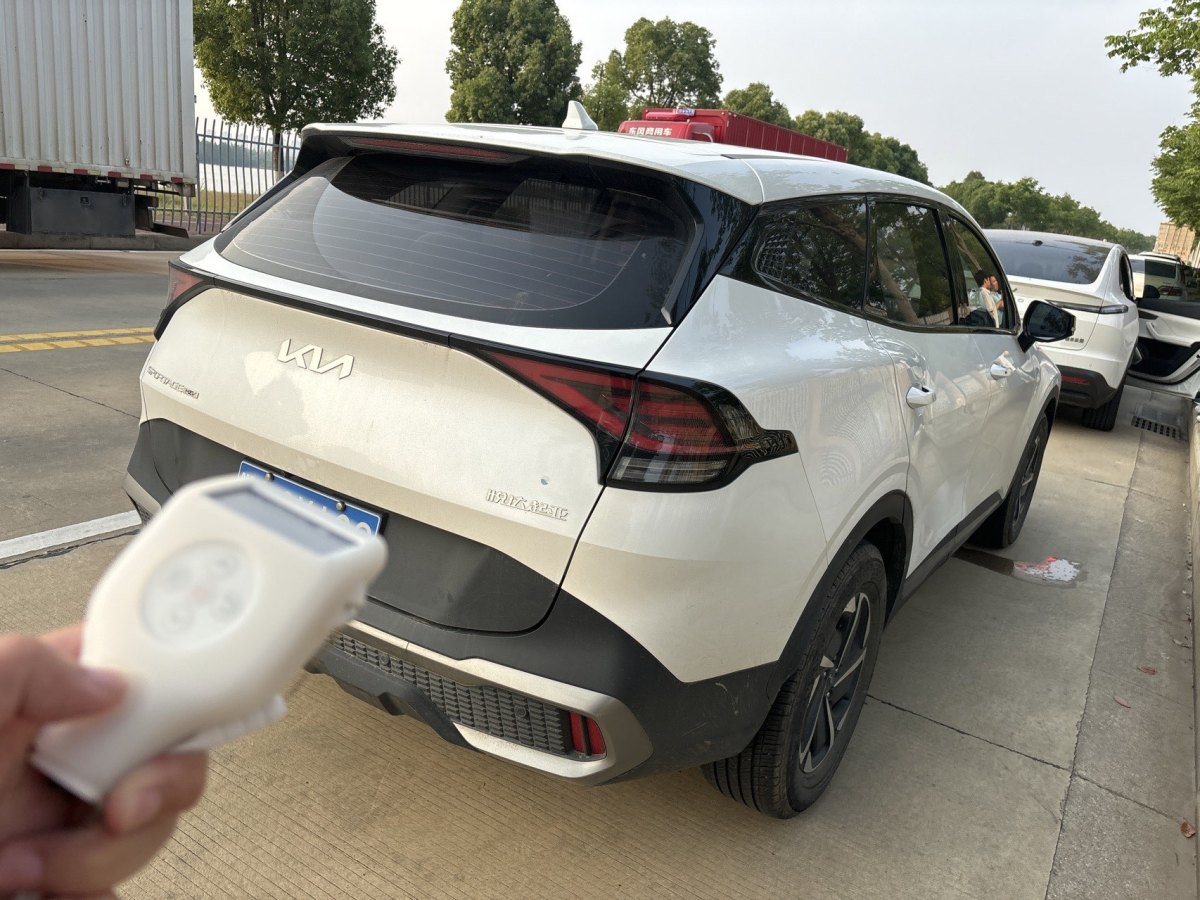 起亞 獅鉑拓界  2023款 2.0L HEV 兩驅(qū)尊貴版圖片