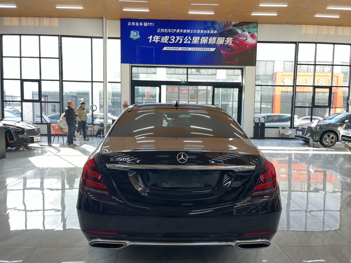 奔馳 奔馳S級  2020款 S 350 L 商務(wù)型 臻藏版圖片