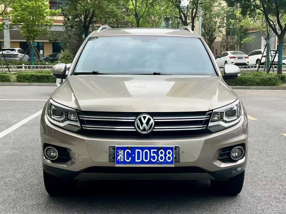 大眾 途歡  2012款 2.0 TDI 舒適版圖片