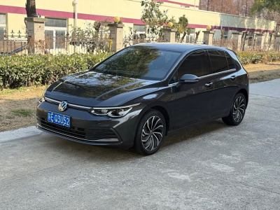 2021年2月 大眾 高爾夫 280TSI DSG 30周年紀(jì)念版圖片